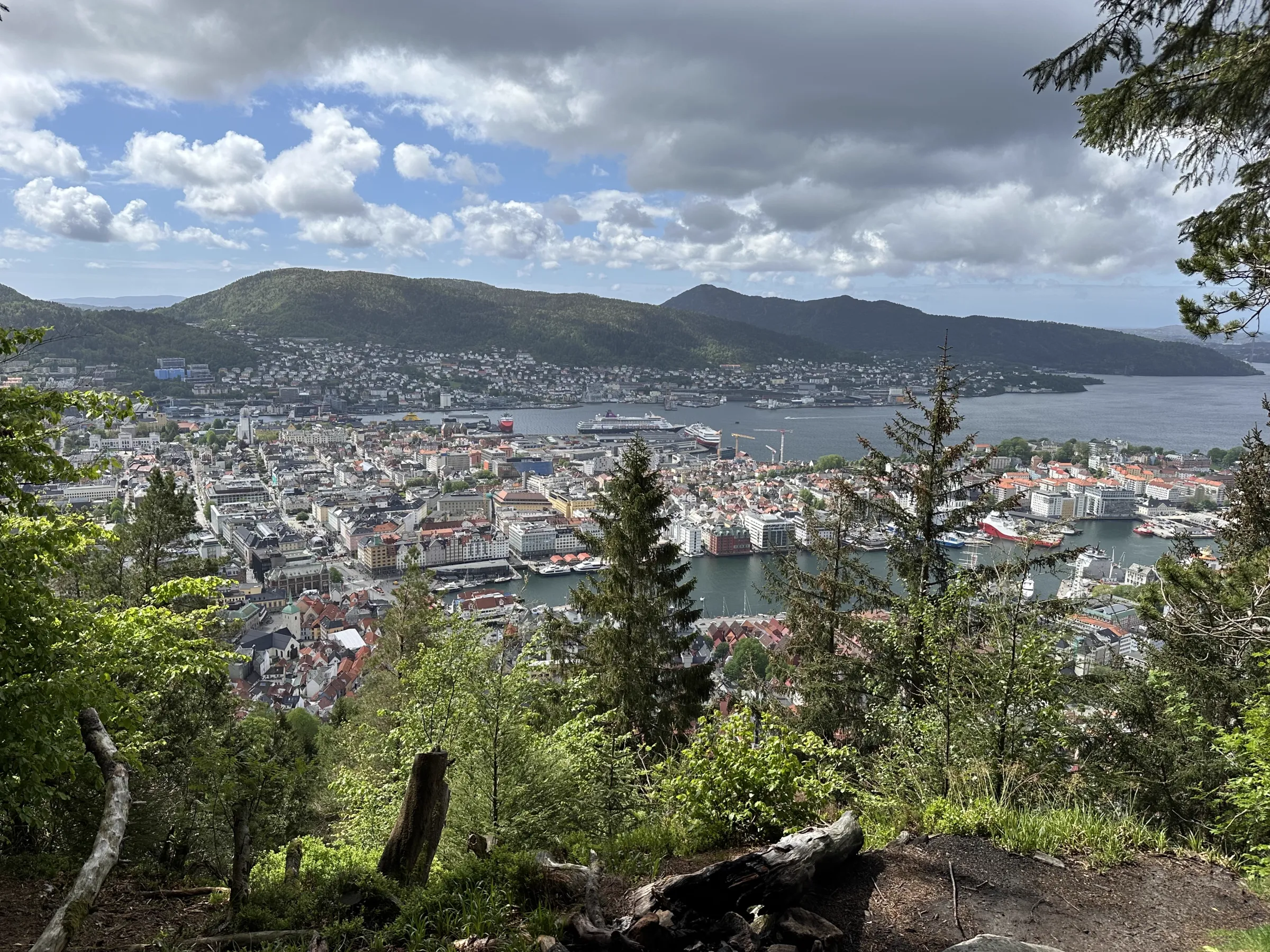 Looking down on Bergen harbour from a nearby mountain