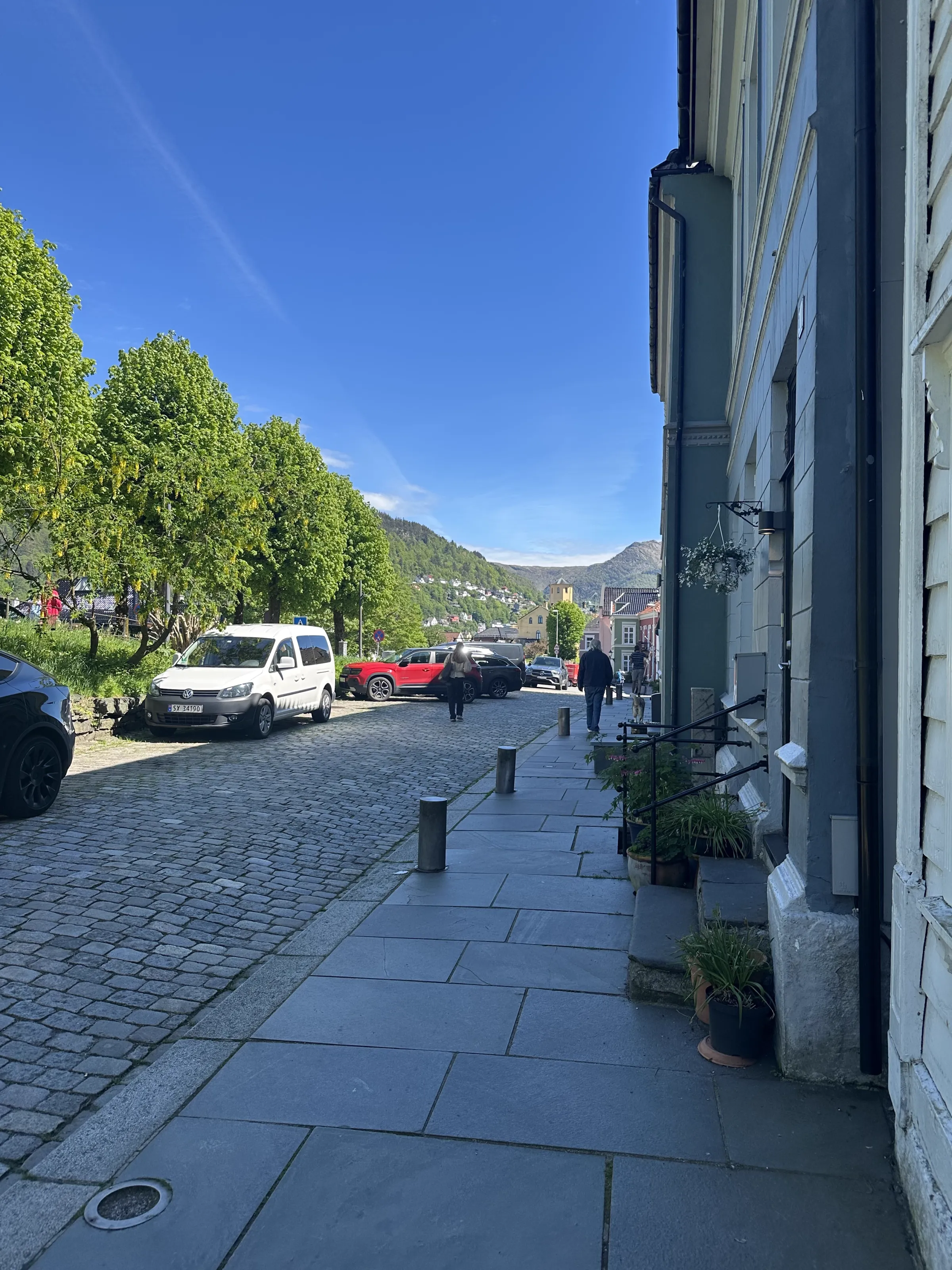 A Bergen street lined with colourful houses, leafy trees and mountain views
