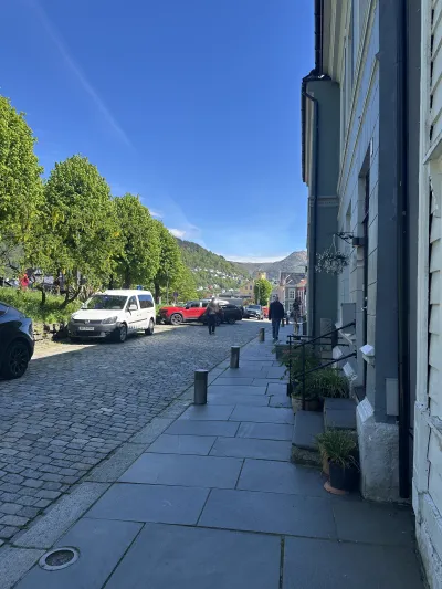 A Bergen street lined with colourful houses, leafy trees and mountain views