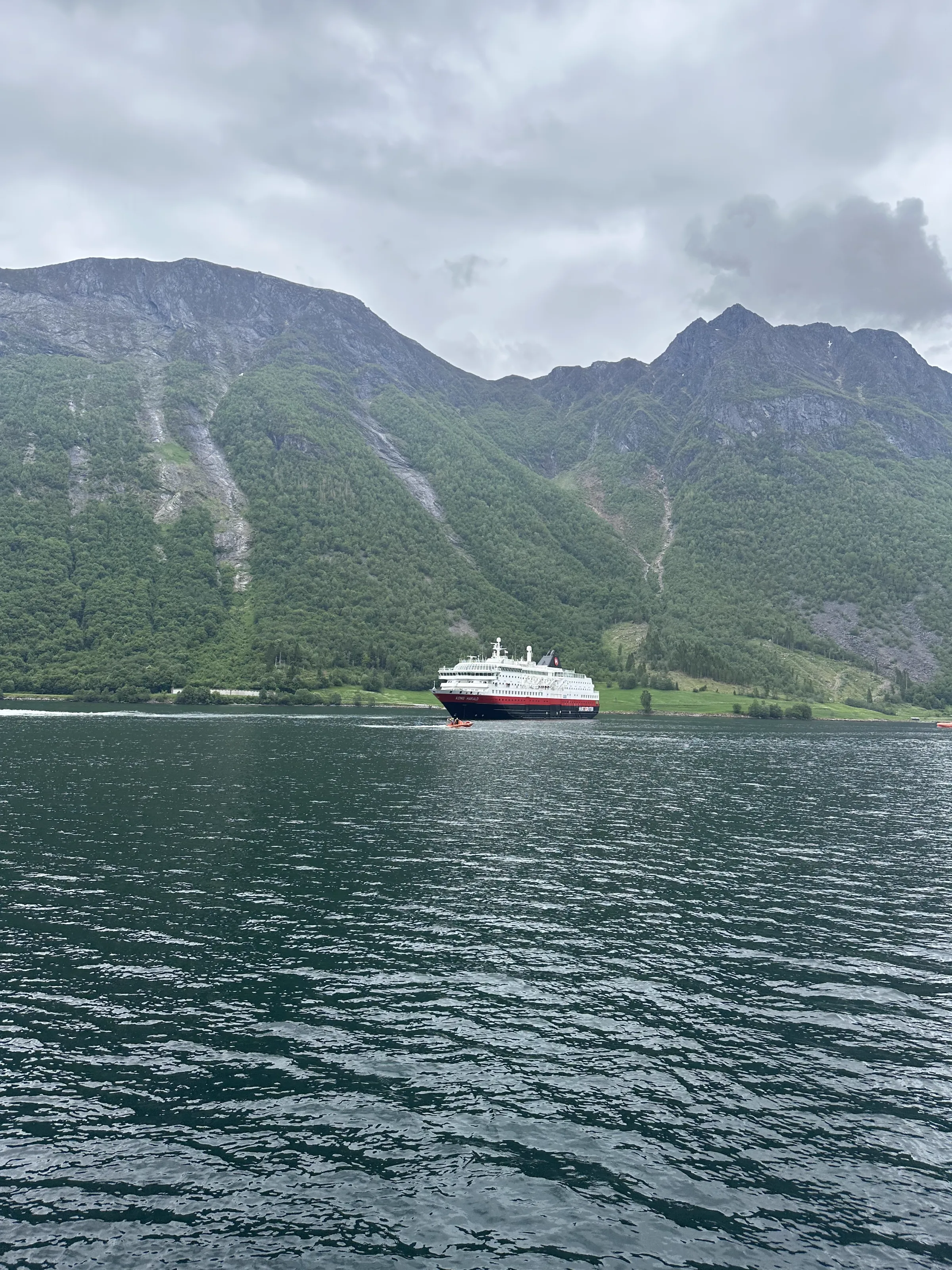 A cruise ship traversing the fjord