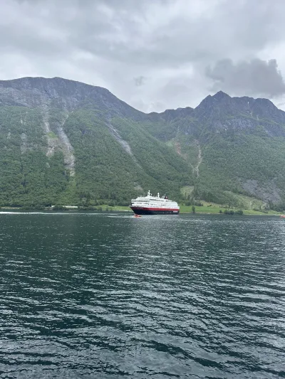 A cruise ship traversing the fjord