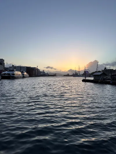 Bergen harbour at sunset with golden light shimmering on the water